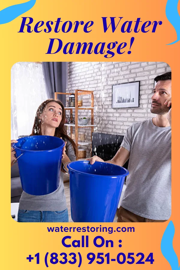 water restoration Elite Drying Services Carthage