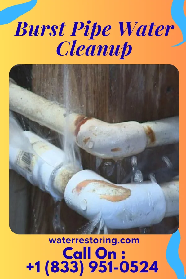 Burst Pipe Water Cleanup in Carthage, IN