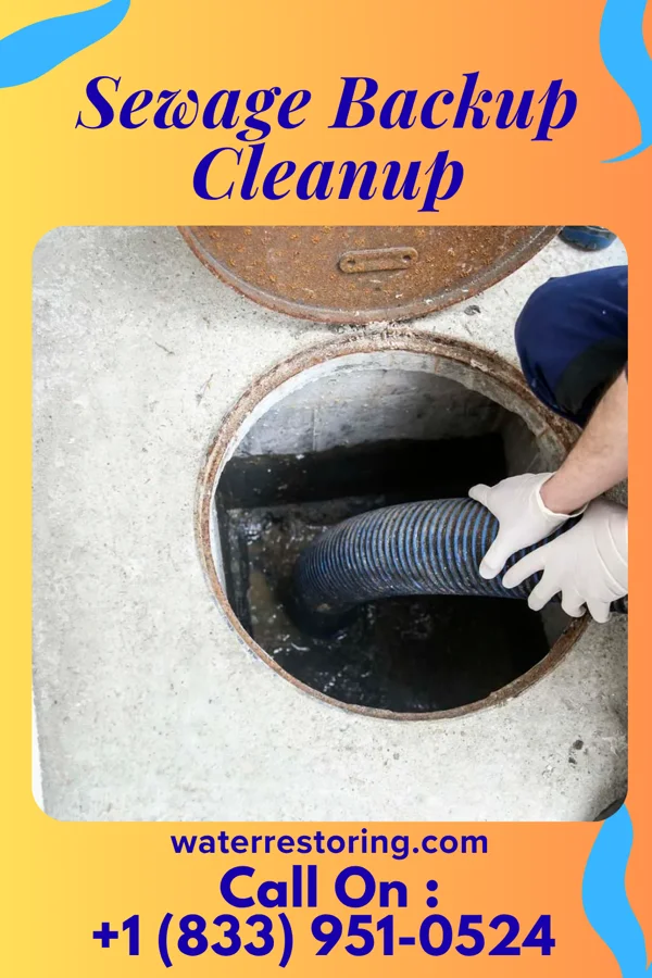 Sewage Backup Cleanup in Carthage, IN
