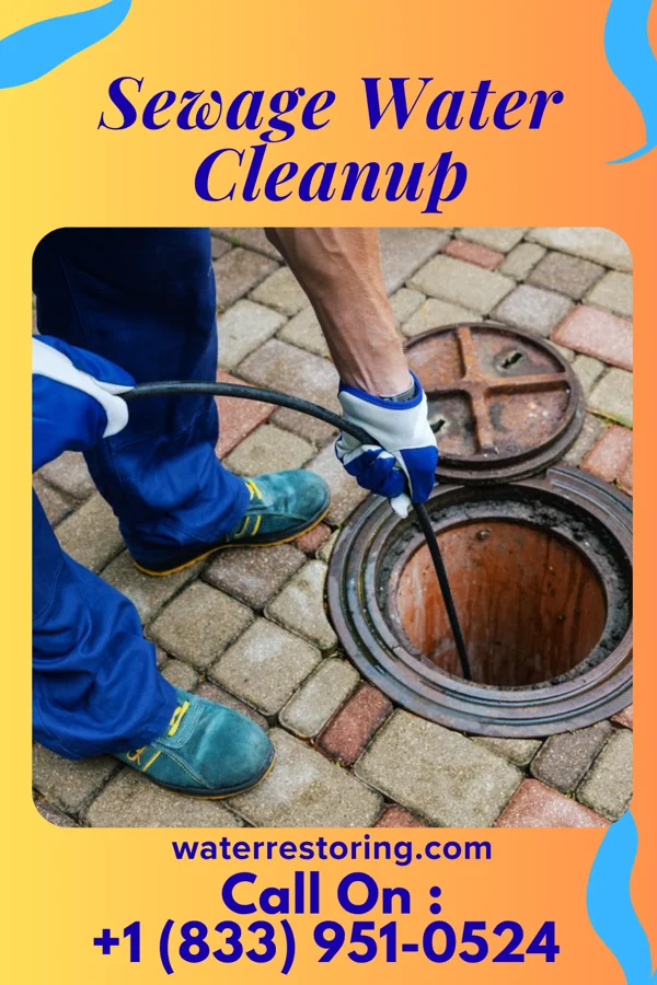Sewage Water Cleanup in Carthage, IN